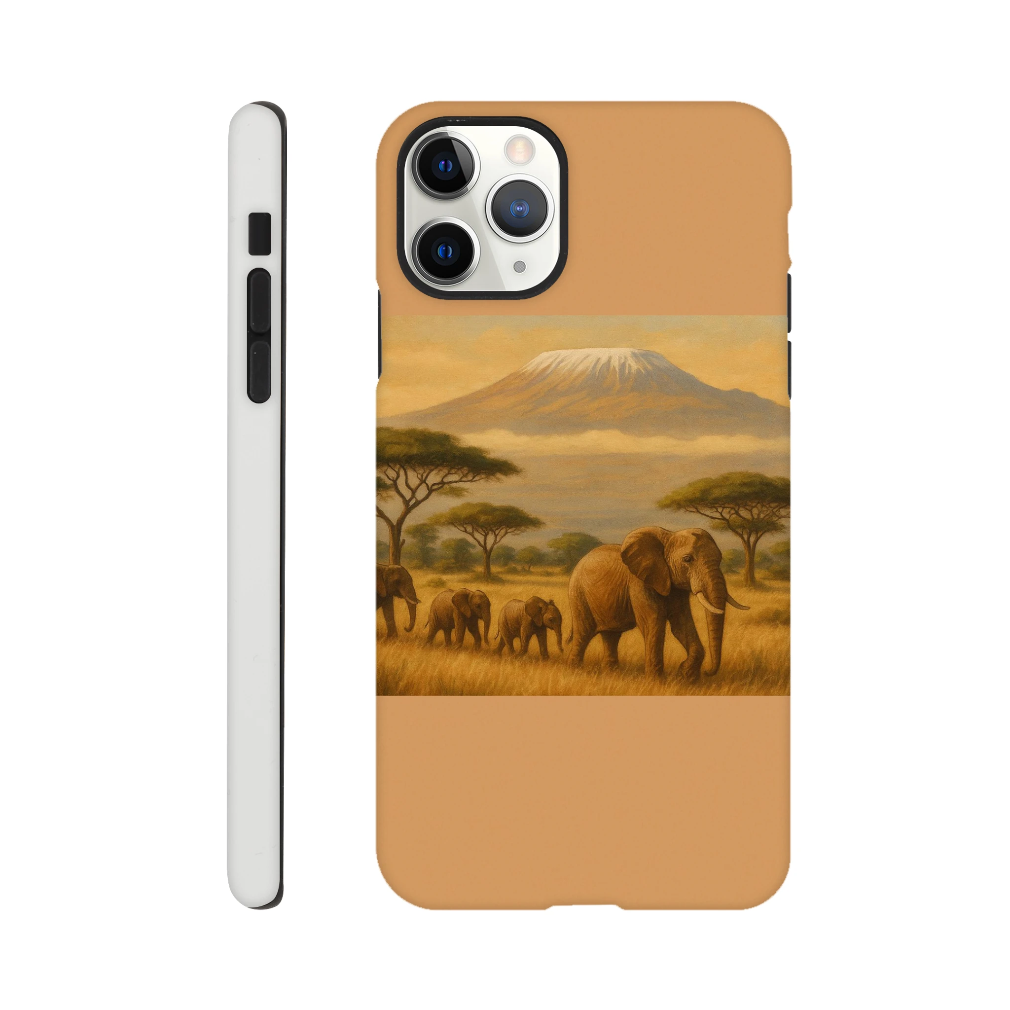 555fff65-6ebe-47a5-b97f-30deeaef8d94